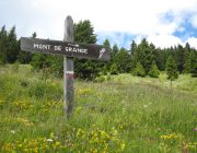VallÈe d’Abondance – Vers le Mont de Grange ‡ Lenlevay