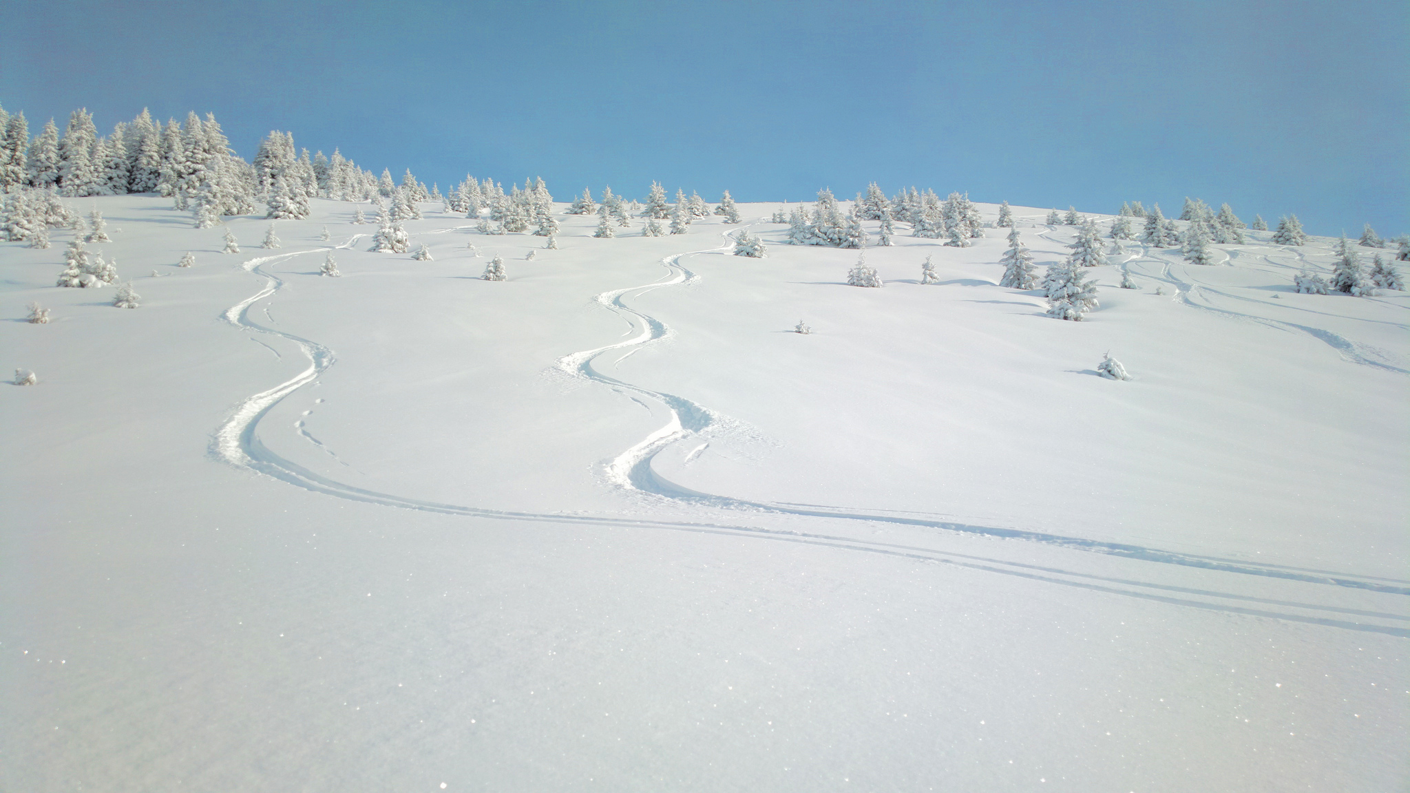 Ski Chalet La Petite Rocaille – Te Huur – For Rent